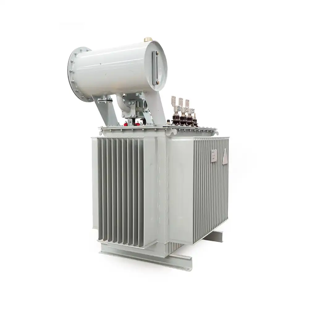 oil-immersed transformers